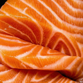 Salmon Sashimi Fillet